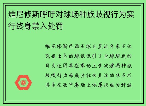 维尼修斯呼吁对球场种族歧视行为实行终身禁入处罚